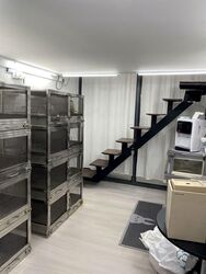 The Promenade@Pelikat (D19), Shop House #576600981